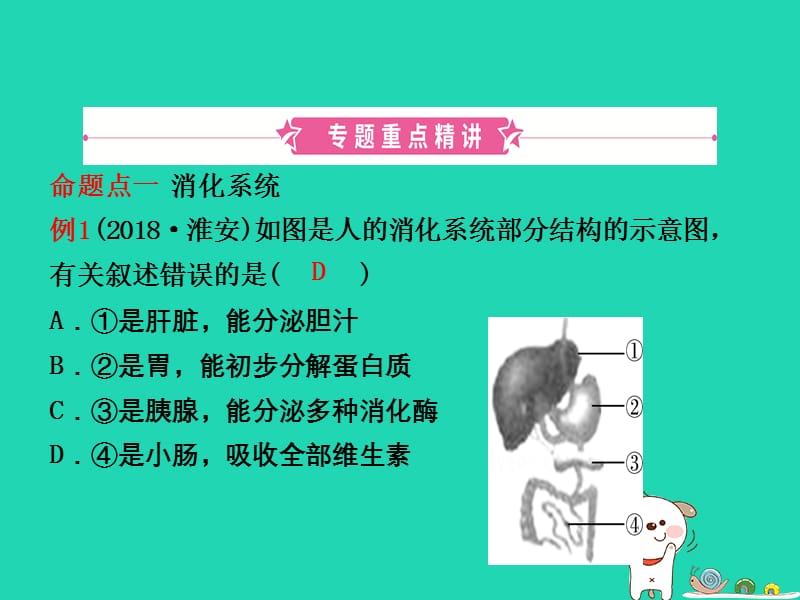 东营专版2019年中考生物专题四复习课件.pptx_第1页