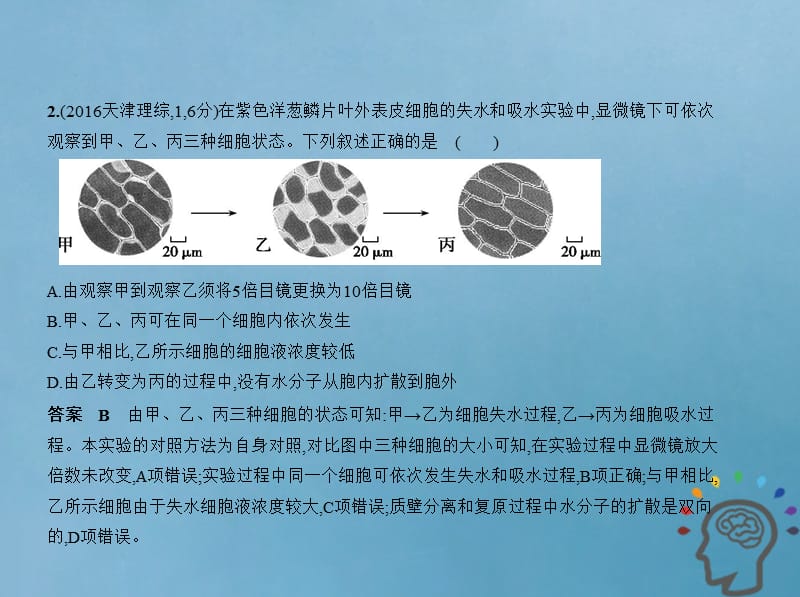 北京专版2019版高考生物一轮复习专题3物质出入细胞的方式课件.pptx_第3页