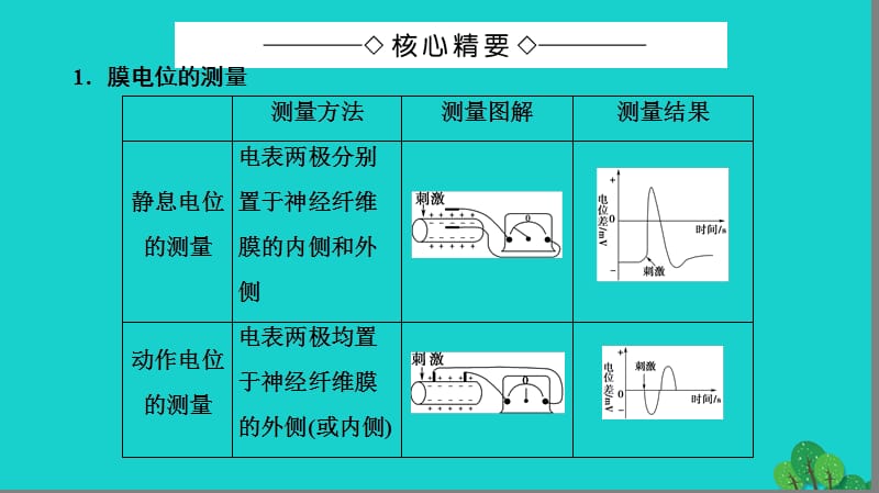 2016_2017学年高中生物第2章动物生命活动的调节膜电位的测量与兴奋传导方向的实验分析微专题突破课件浙科版必修.pptx_第1页