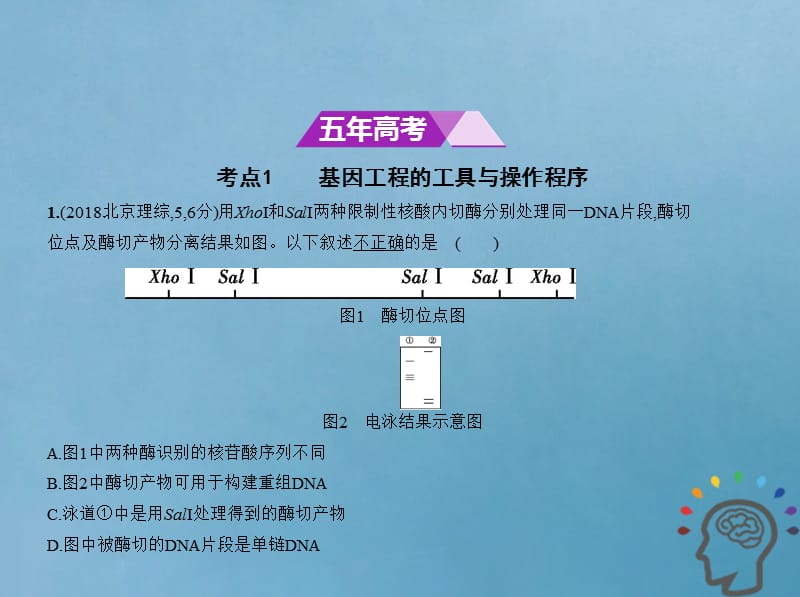 北京专版2019版高考生物一轮复习专题26基因工程课件.pptx_第1页