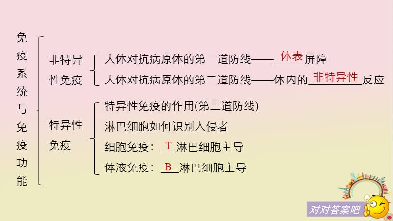 生物第三章免疫系统与免疫功能章末整合提升课件浙科版.pptx_第3页