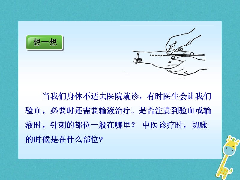 吉林省七年级生物下册4.4.2血流的管道__血管课件新版新人教版.pptx_第1页