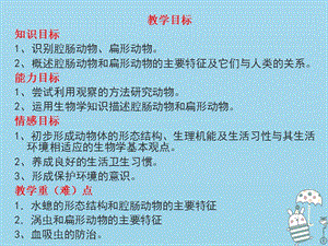 辽宁省凌海市2018年八年级生物上册5.1.1腔肠动物和扁形动物课件新版新人教版.pptx