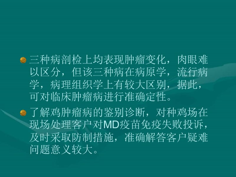 病的鸡肿瘤鉴别诊断.ppt_第2页