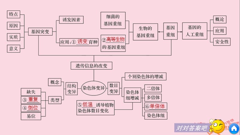 2017-2018学年高中生物第章遗传信息的改变章末整合课件.pptx_第3页