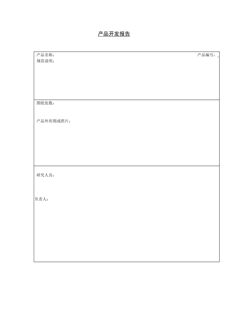 产品开发报告格式.doc_第1页