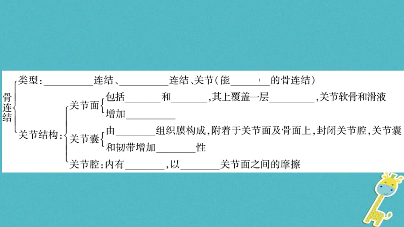 广西省2018年八年级生物上册第五单元第15_16章复习与提升课件新版北师大版.pptx_第3页