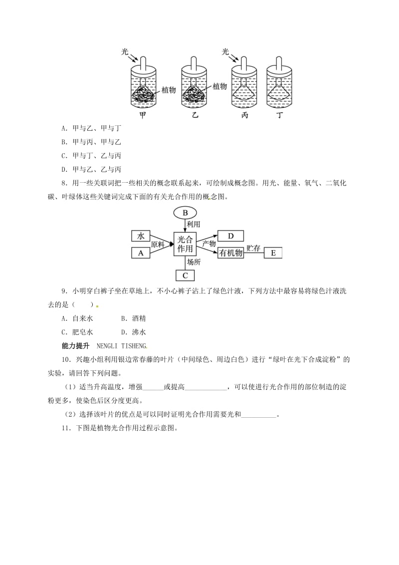 七年级生物上册3_5_1光合作用自我小测 北师大版.docx_第2页