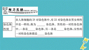 广西省2018年八年级生物上册第6单元第20章第4节性别和性别决定课件新版北师大版.pptx