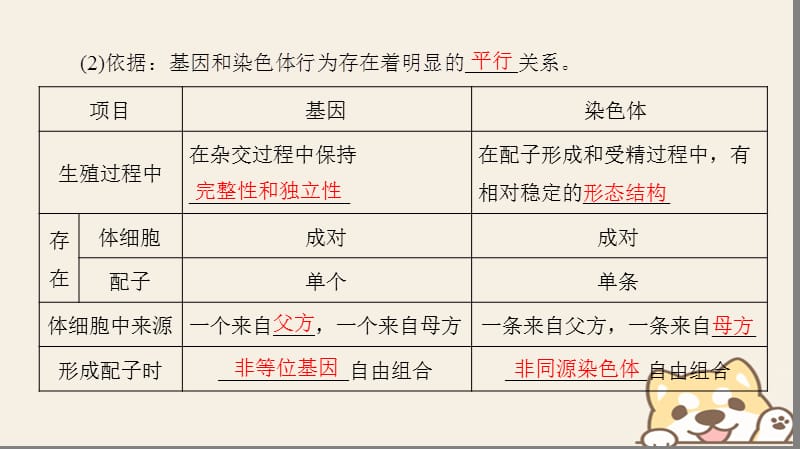 高中生物基因和染色体的关系第2节基因在染色体上课件新人教版.pptx_第3页