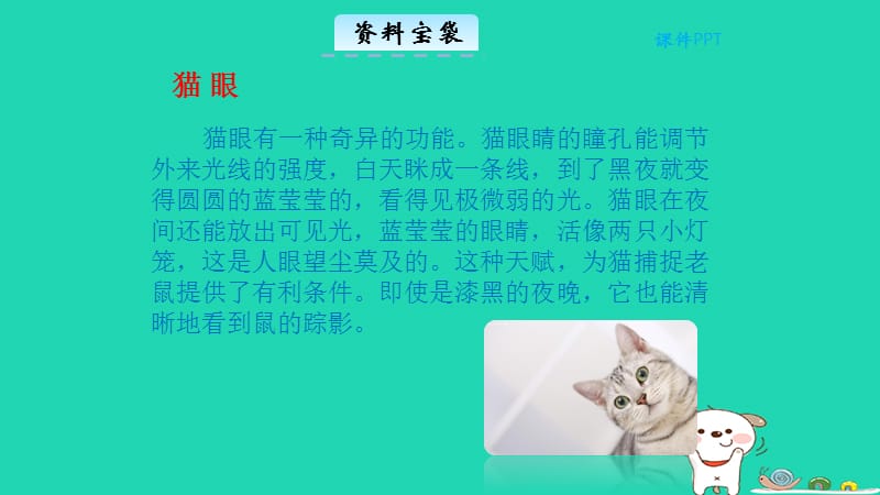 三年级语文第三单元14猫教学课件北京版.pptx_第2页