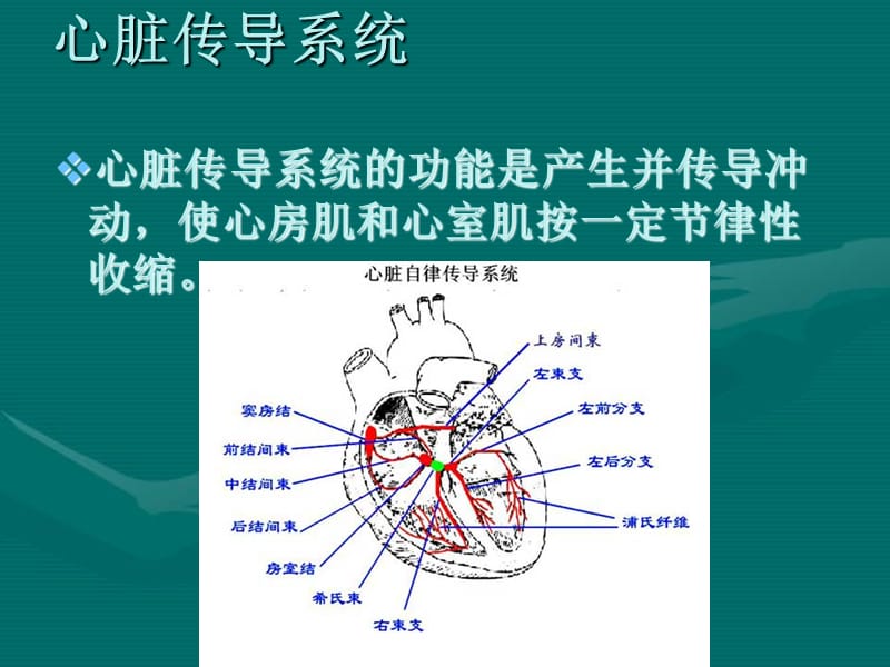 电击除颤技术.ppt_第3页