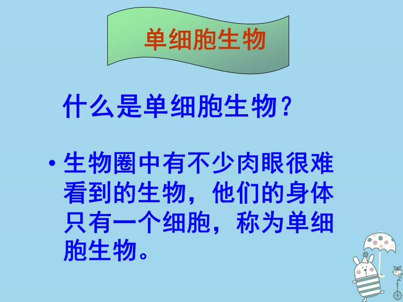 新疆维吾尔自治区七年级生物上册2.2.4单细胞生物课件新版新人教版.pptx_第3页