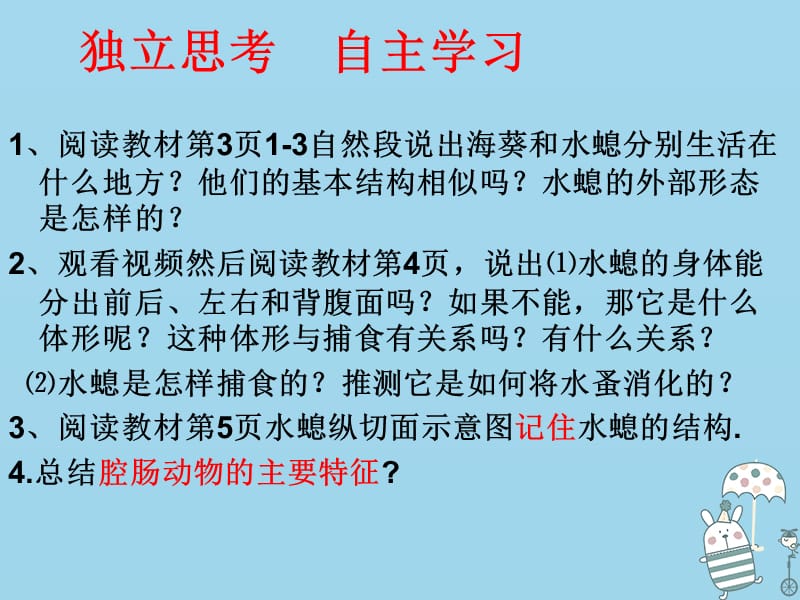 吉林省通化市八年级生物上册5.1.1腔肠动物和扁形动物课件新版新人教版.pptx_第3页