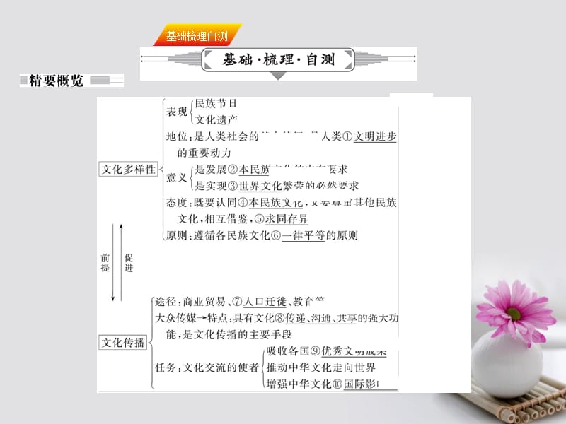 高考政治一轮复习 第二单元 文化传承与创新 第三课 文化的多样性与文化传播课件 新人教版必修3.pptx_第2页