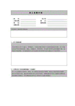 员工发展计划.doc