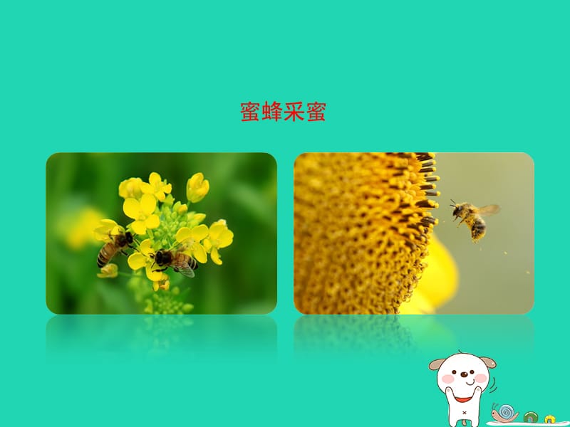 八年级生物上册4.1.2《传粉与受精》课件（新版）济南版.pptx_第2页