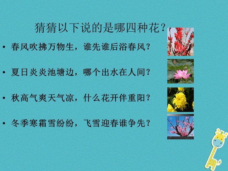 吉林省七年级生物上册3.2.3开花和结果课件新版新人教版.pptx_第1页