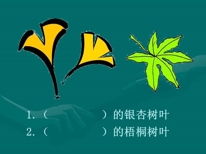 （人教新课标）二年级语文上册课件 蓝色的树叶 2.ppt_第2页