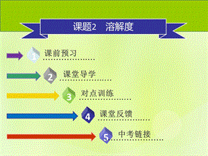 2018_2019学年九年级化学下册溶液课题2溶解度第2课时溶解度课件（新版）新人教版.pptx