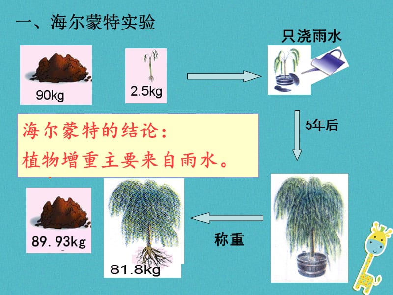 吉林省长春市七年级生物上册第三单元第五章第一节光合作用吸收二氧化碳释放氧气课件3新版新人教版.pptx_第2页