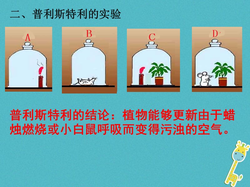 吉林省长春市七年级生物上册第三单元第五章第一节光合作用吸收二氧化碳释放氧气课件3新版新人教版.pptx_第3页