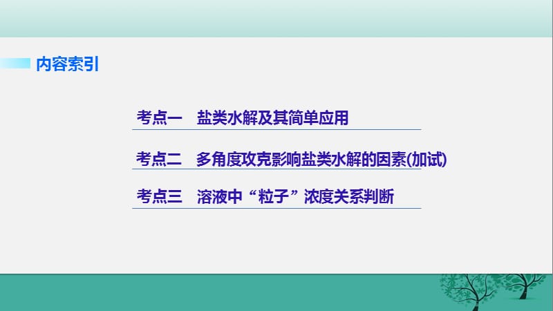 高考化学二轮复习 专题19 盐类水解及其应用课件.pptx_第1页