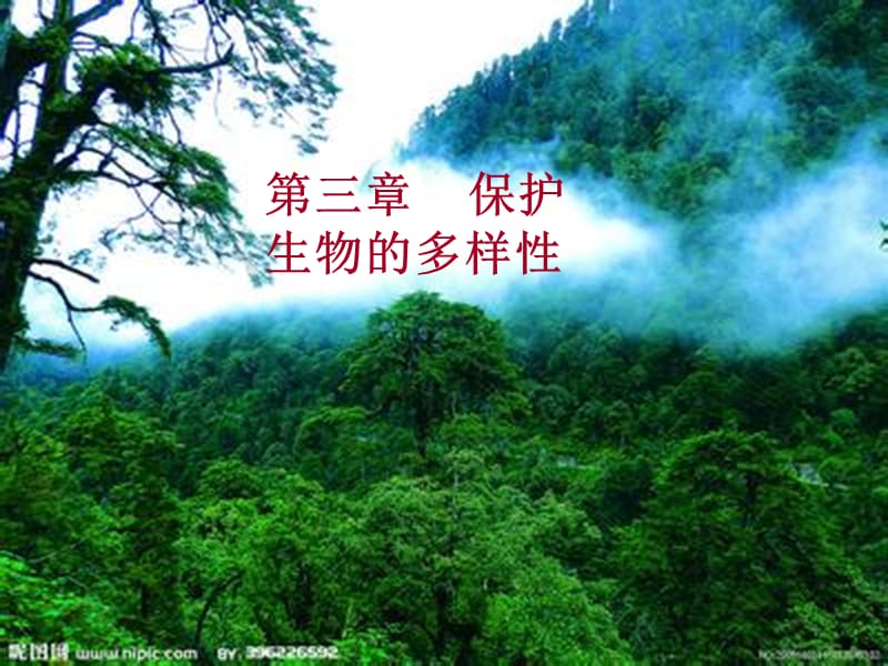 吉林省通化市八年级生物上册6.3保护生物的多样性课件新版新人教版.pptx_第1页