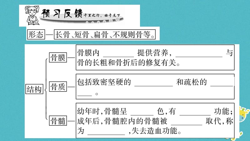 广西省2018年八年级生物上册第五单元第15章第2节动物运动的形成第1课时课件新版北师大版.pptx_第2页