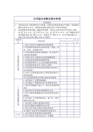 公司综合诊断自我分析表.doc