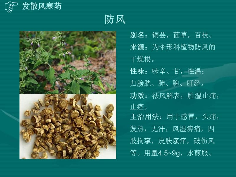 常用中药知识简介.ppt_第3页