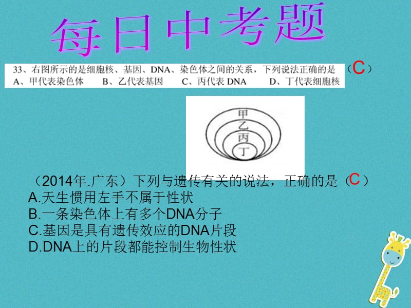 广东省深圳市八年级生物上册20.3性状遗传有一定的规律性课件新版北师大版.pptx_第1页