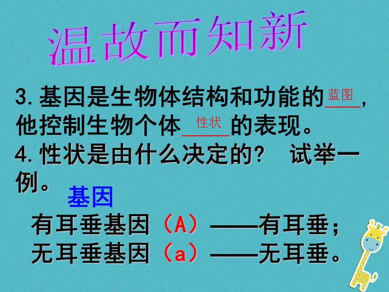 广东省深圳市八年级生物上册20.3性状遗传有一定的规律性课件新版北师大版.pptx_第2页