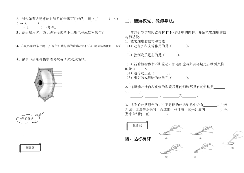 3.2植物细胞导学案.doc_第2页