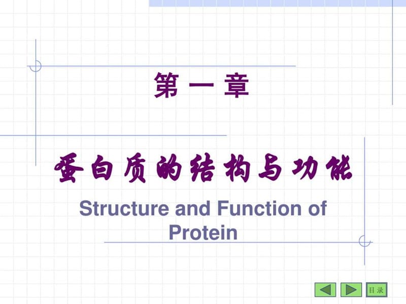 最新大学生物化学蛋白质..ppt_第1页