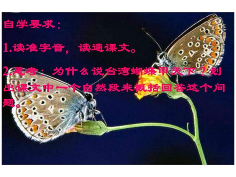 最新语文s版四年级上册 16《台湾蝴蝶甲天下》..ppt_第3页
