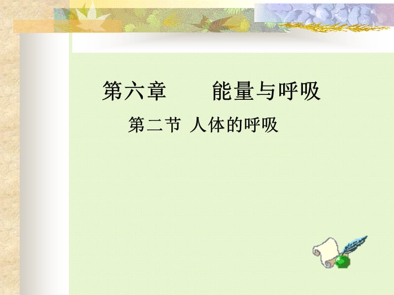 最新苏科版七年级上册人体的呼吸第一课时PPT课件..ppt_第3页