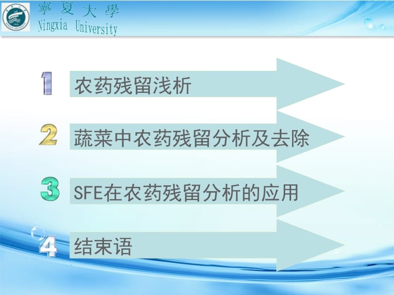 最新农用化学品与食品安全ppt课件..ppt_第2页