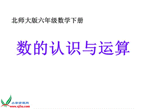 最新北师大版数学六年级下册《数的认识与运算》课件PPT课件..ppt