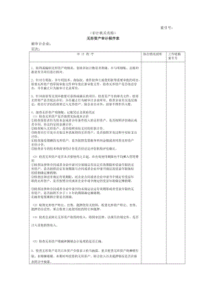 非流动资产-无形资产审计程序表.doc