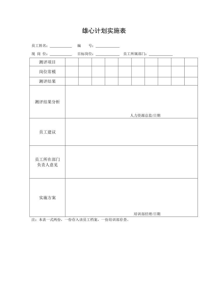 雄心计划实施表.doc_第1页