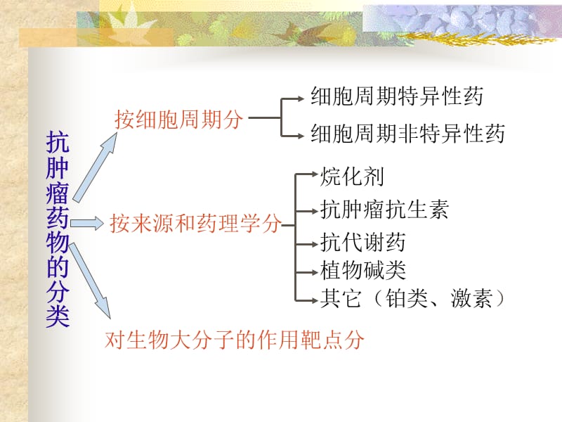 最新医学ppt常用化学药物及其毒副作用的防治..ppt_第3页