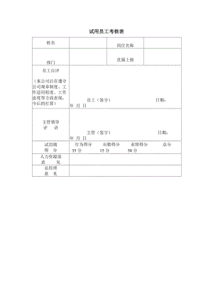 试用员工考核表（表格模板、doc格式）.doc