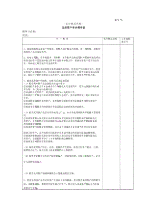 非流动资产w无形资产审计程序表.doc