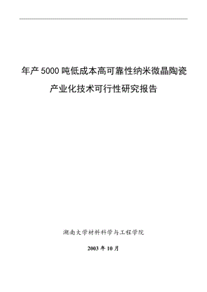 湖南大学项目可行性研究一(DOC 8页).doc