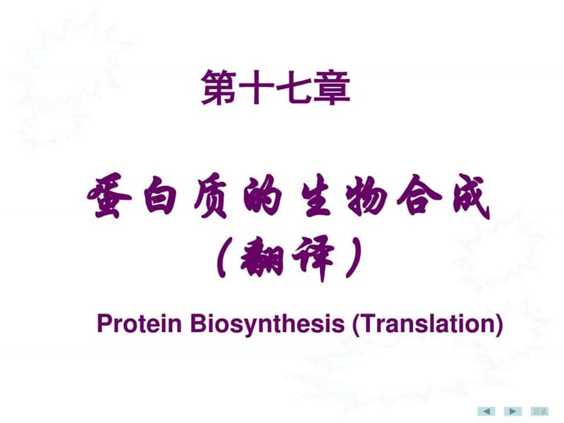 17、第十七章 蛋-白-质-生-物-合-成_图文.ppt.ppt_第2页