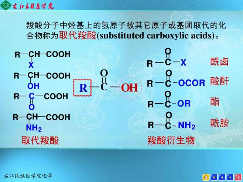 11取代羧酸_生产经营管理_经管营销_专业资料.ppt.ppt_第2页