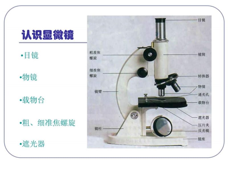 21细胞的显微观察技术.ppt.ppt_第2页