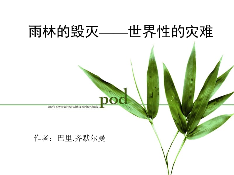 《雨林的毁灭——世界性灾难》.ppt_第1页