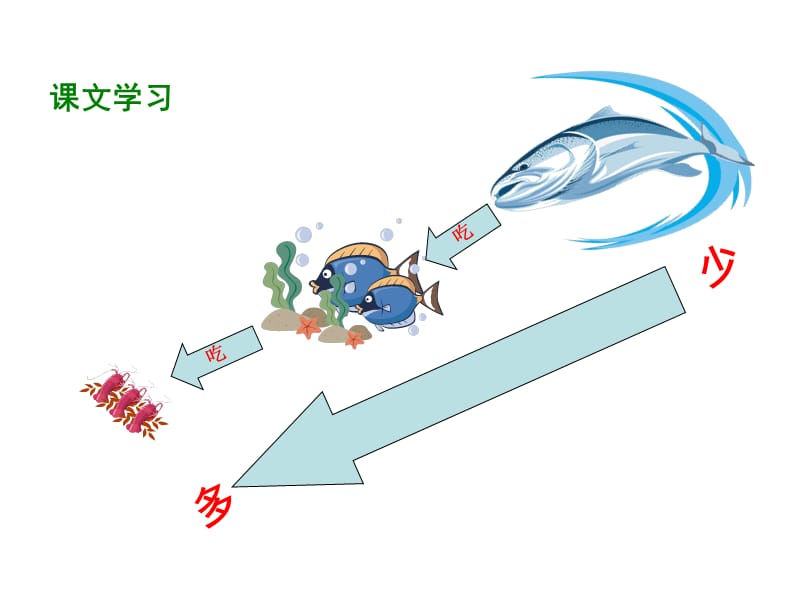 【推荐】五年级上册语文课件－16《生态金字塔》｜湘教版 (共29张PPT)-教学文档.ppt_第3页